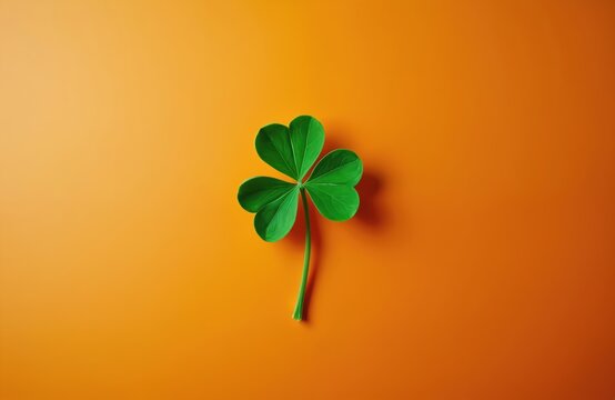 Close-up of lucky shamrock clover leaf against bright orange background. Symbol of good luck fortune hope success. Spring, St Patrick Day, botanical, nature, isolated concept.