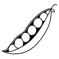 illustration of a rocket