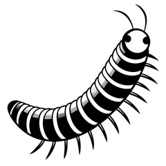 caterpillar on white background