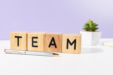Team Word on Wooden Blocks with Pen and Plant on Desk