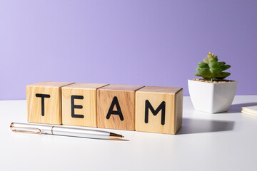 Team Word on Wooden Blocks with Pen and Plant on Desk