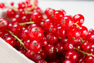 Glossy Red Currants Packed In Eco Carton Box