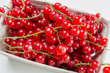 Fresh Red Currants In Carton Box