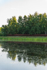 a pond at sunset with banks overgrown with reeds