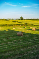 rural landscape of lubelska upland with straw bales and hop plantation in the distance