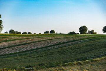 Rural landscape with elongated fields on a slope