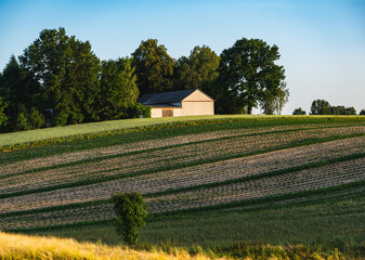 Rural landscape with elongated fields on a slope