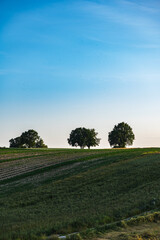 Rural landscape with elongated fields on a slope