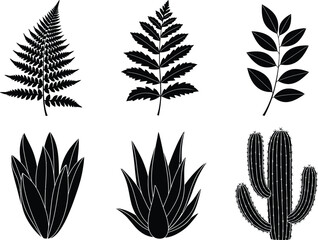 Collection of Black and White Silhouettes of Various Plants Ferns, Leaves, Aloe, and Cactus