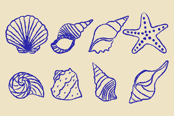 Set of hand-drawn seashells in monochrome blue ink line isolated background.