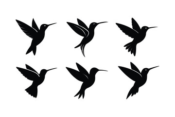 Hummingbird  silhouette vector bundle  illustration, Black Hummingbird  silhouette vector 