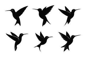 Hummingbird  silhouette vector bundle  illustration, Black Hummingbird  silhouette vector 