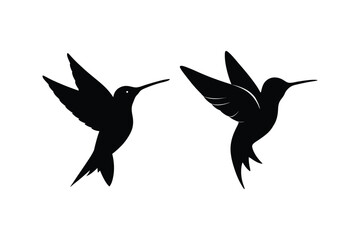 Hummingbird  silhouette vector bundle  illustration, Black Hummingbird  silhouette vector 