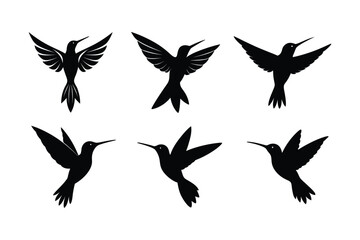 Hummingbird  silhouette vector bundle  illustration, Black Hummingbird  silhouette vector 