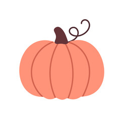 Soft pink pumpkin with rounded flattened shape and curly stem, great for thanksgiving or harvest compositions