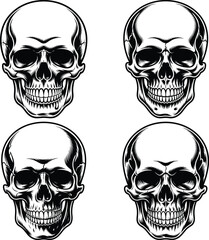Skull Silhouette, Human Skull Silhouette, Skull SVG Design