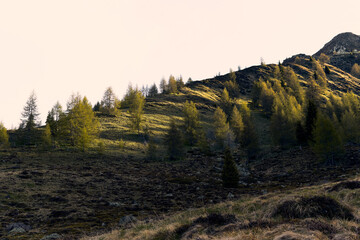 Sunlit alpine slopes showcasing lush greenery and captivating terrain in autumn
