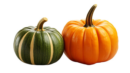 Two vibrant pumpkins display fall harvest themes against a simple backdrop, showing autumn's colorful fruits and vegetables transparent.