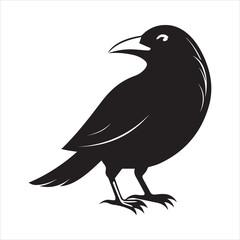 common blackbird vector illustration