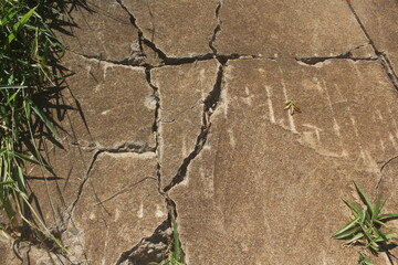 Cracks in the Asphalt