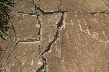 Cracks in the Asphalt