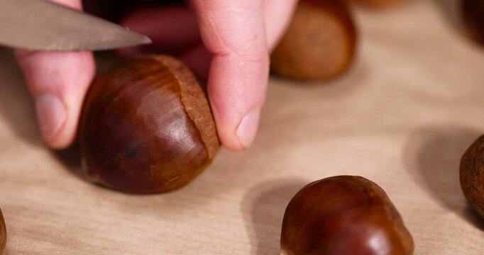 preparation by cutting the shells of edible chestnut nuts for baking, closeup