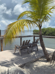 Relax by the Water under the Palm Trees