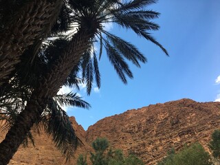 Morocco