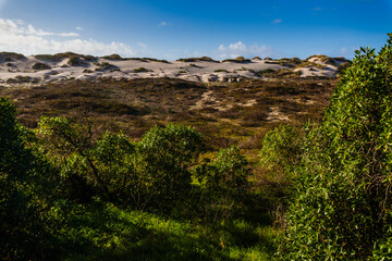 A vibrant green foreground with lush vegetation contrasts with t