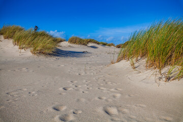 A serene coastal landscape features undulating sand dunes dotted with tufts of green dune grass