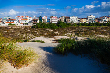 A foreground of sandy dunes with vibrant green grasses leads to a distant row of colorful