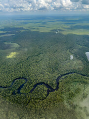 Aerial View of a Forest with a Winding Stream