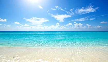 Tableau sur plexiglas Plage et Mer Tropical beach scene (2)  © Bagas