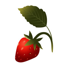 Strawberry. Ripe red berry close-up. Vector illustration isolated on white background.