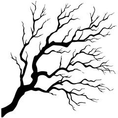 Bare tree branch silhouettes, Black branches without leaves