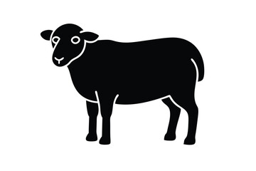 black and white sheep