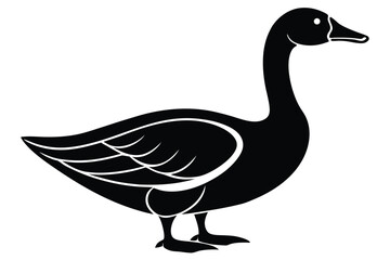 goose isolated on white background
