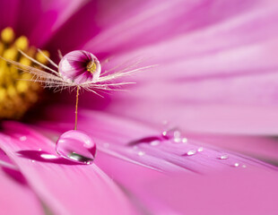 flower and drop