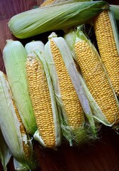 A pile of fresh organic corn. Fresh harvest. View from the top.