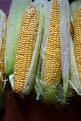 A pile of fresh organic corn. Fresh harvest. View from the top.
