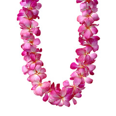 Pink Plumeria Lei Hawaiian Flower Garland Tropical Decoration Luau Party Accessory on transparent Background