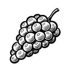 Hand drawn bunch of grape sketch illustration. Simple black outline fruit on transparent background for food design and healthy eating concept.