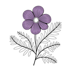Violet flower illustration vector illustration coloring page 