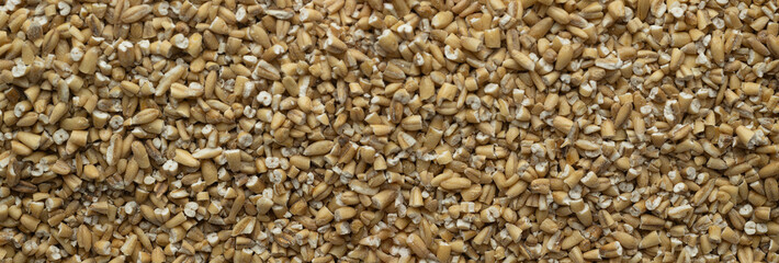Steel Cut Oats Panorama