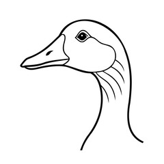 vector illustration of a goose