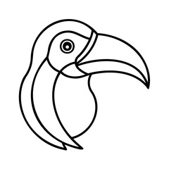 toucan bird vector illustration