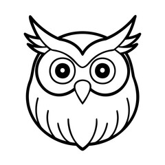 owl on white background