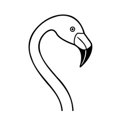 vector illustration of a flamingo head