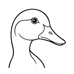 vector illustration of duck