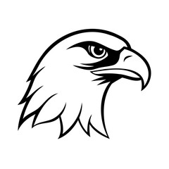 hawk head vector illustration